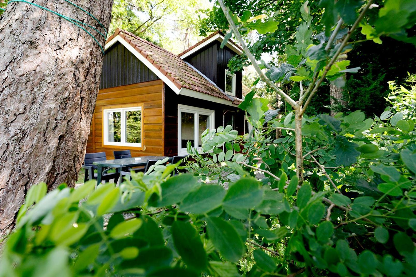 Villa 'T Eekhoornnest Soest Exterior foto